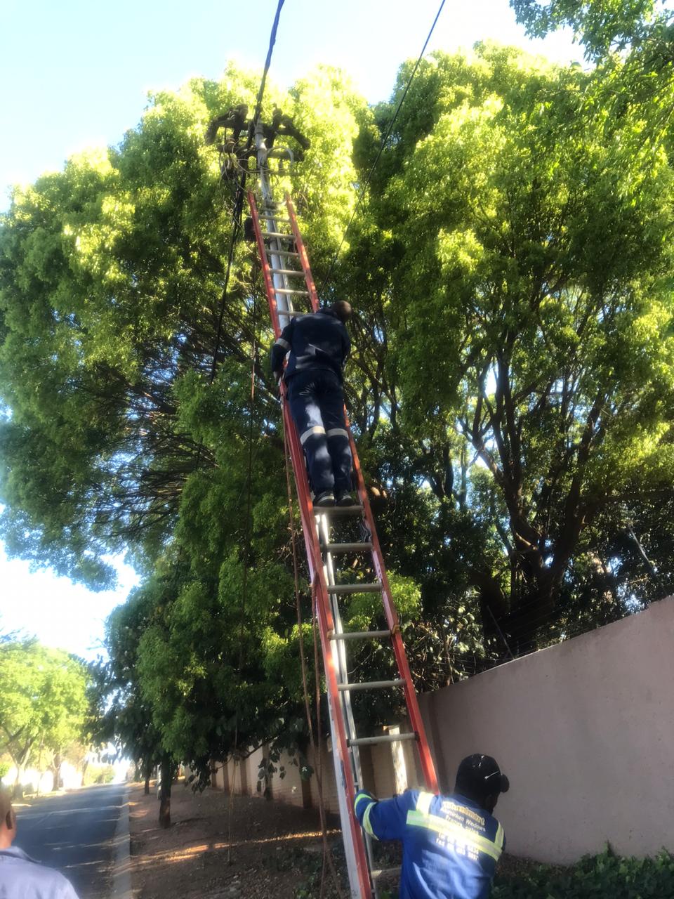 WhatsApp Image 2020-10-09 at 12.44.44